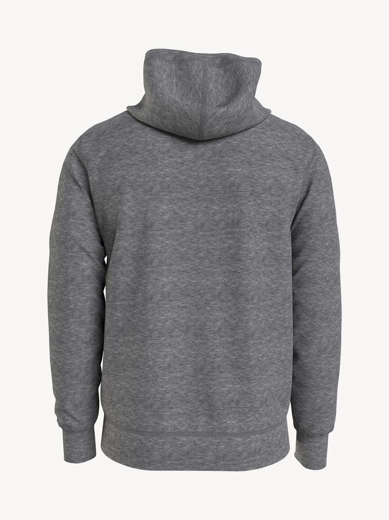 Férfi Tommy Hilfiger Essential solid popover Hoodies Szürke | HU 1226OKI